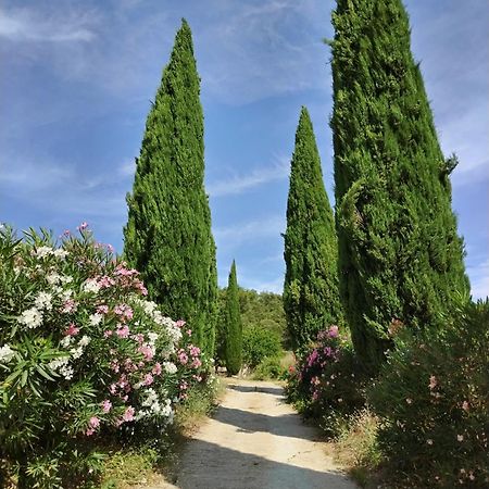 Maison Chemin D'Uzes Blauzac  المظهر الخارجي الصورة