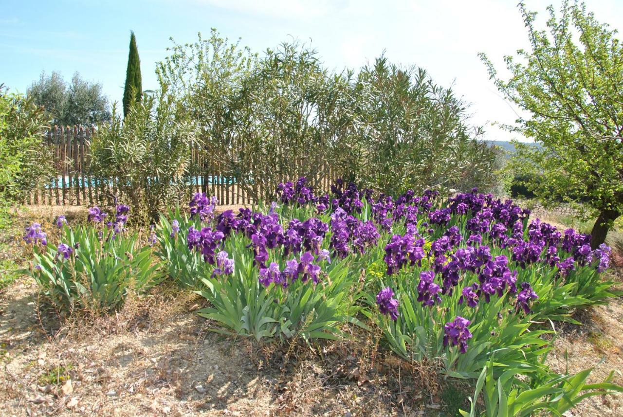 Maison Chemin D'Uzes Blauzac  المظهر الخارجي الصورة
